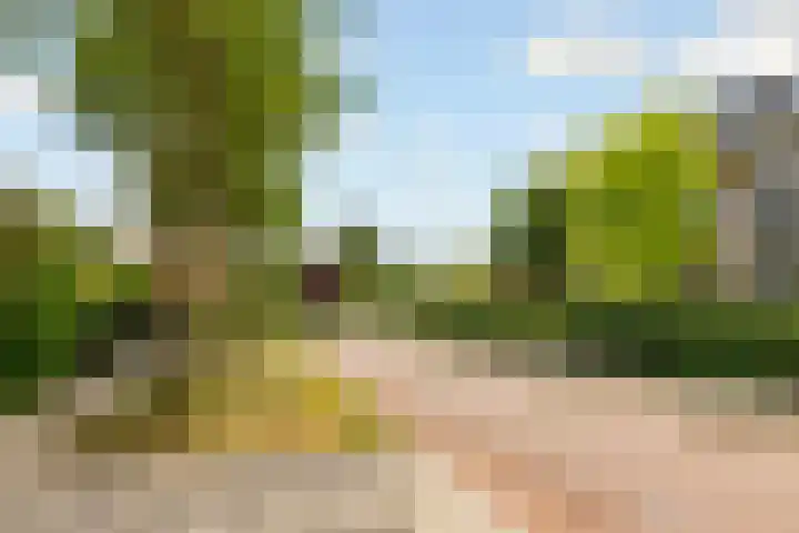 Hop-oord 17 Houten thumbnail 68
