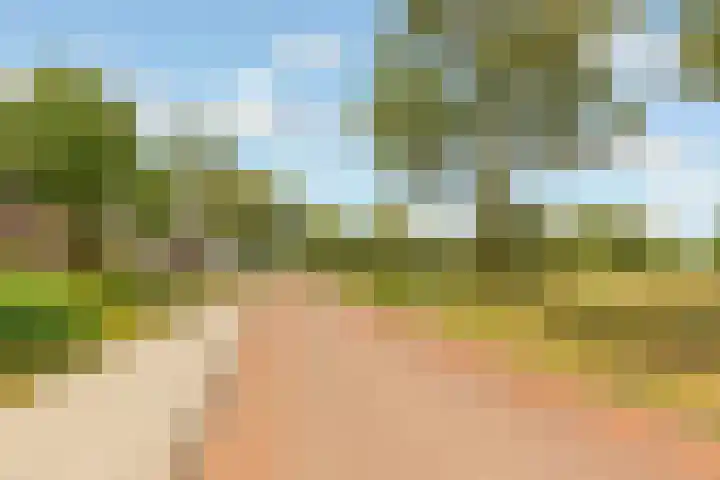 Hop-oord 17 Houten thumbnail 69