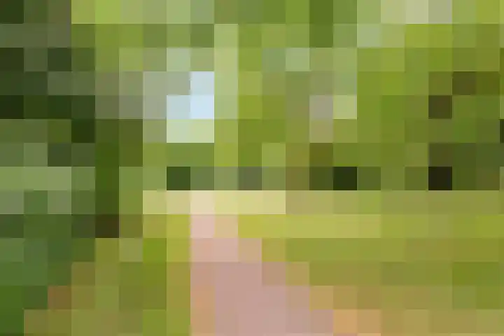 Hop-oord 17 Houten thumbnail 70