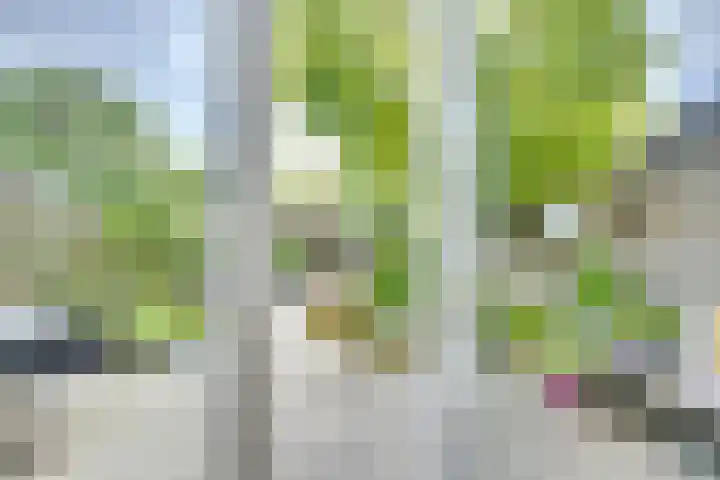 Hop-oord 22 Houten thumbnail 10