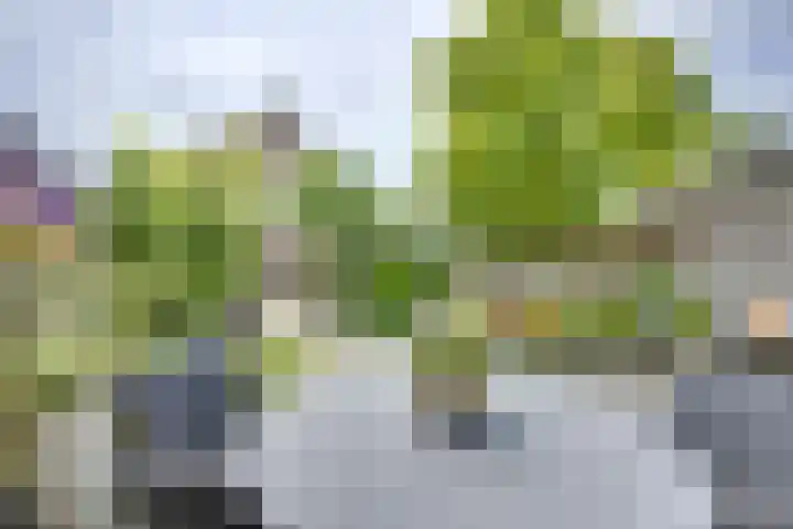 Hop-oord 22 Houten thumbnail 12