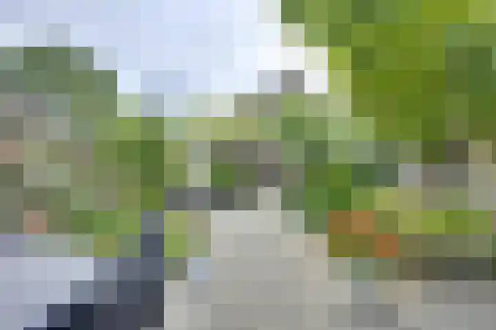 Hop-oord 22 Houten thumbnail 13