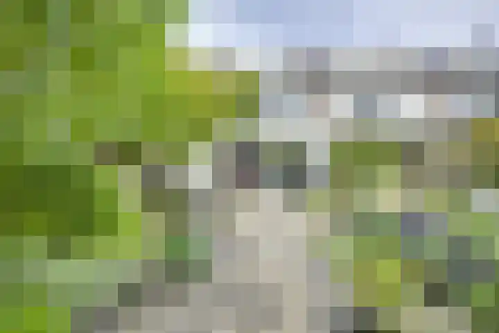Hop-oord 22 Houten thumbnail 14