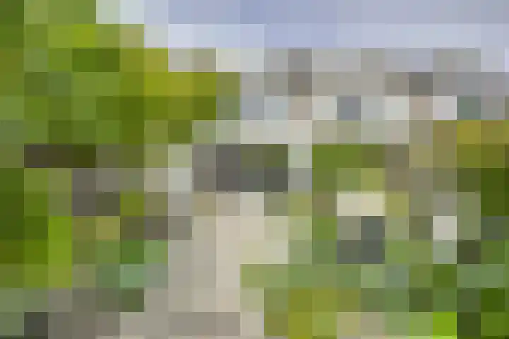 Hop-oord 22 Houten thumbnail 15