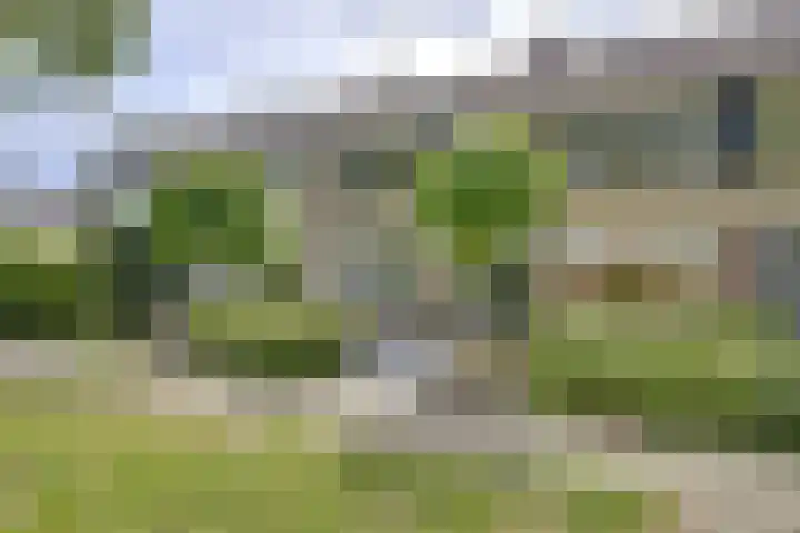 Hop-oord 22 Houten thumbnail 54