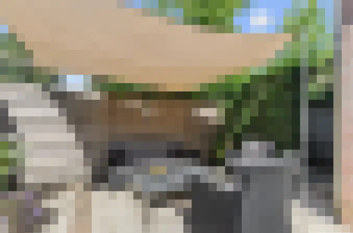 Hop-oord 24 Houten thumbnail 21
