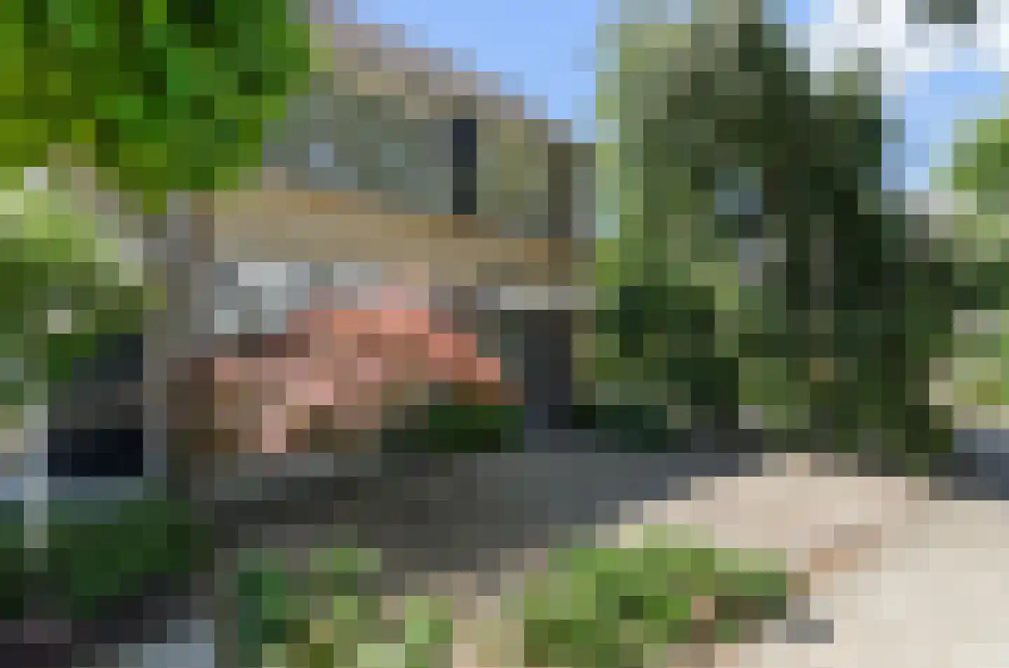 Hop-oord 24 Houten thumbnail 43
