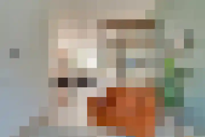 Hopakker 19 Utrecht thumbnail 10