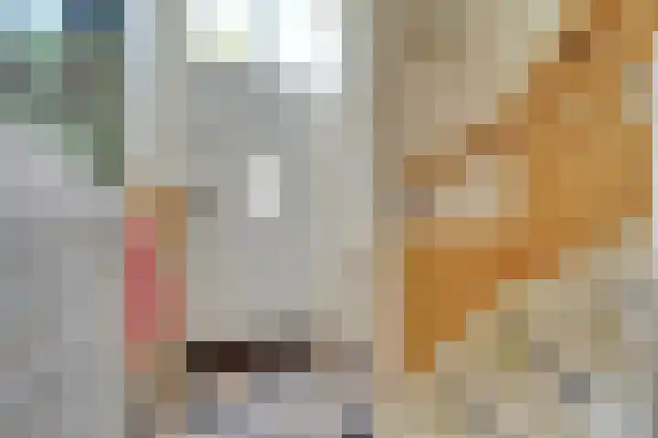 Hopakker 19 Utrecht thumbnail 28