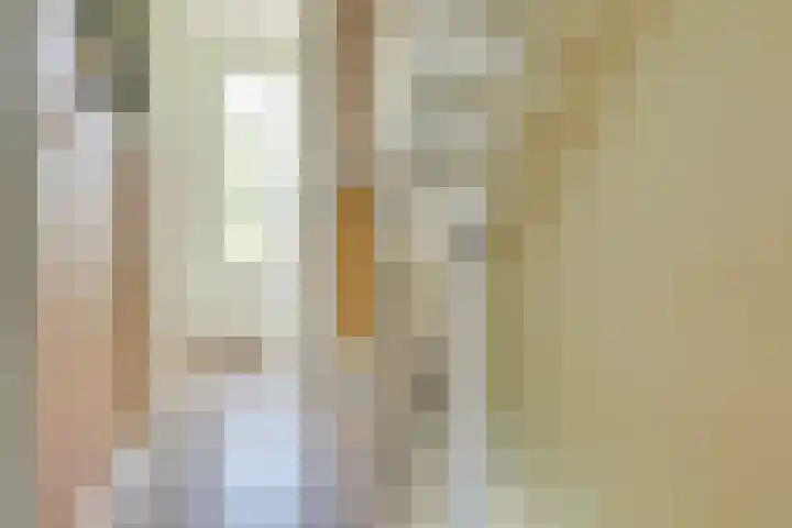 Hopakker 19 Utrecht thumbnail 41
