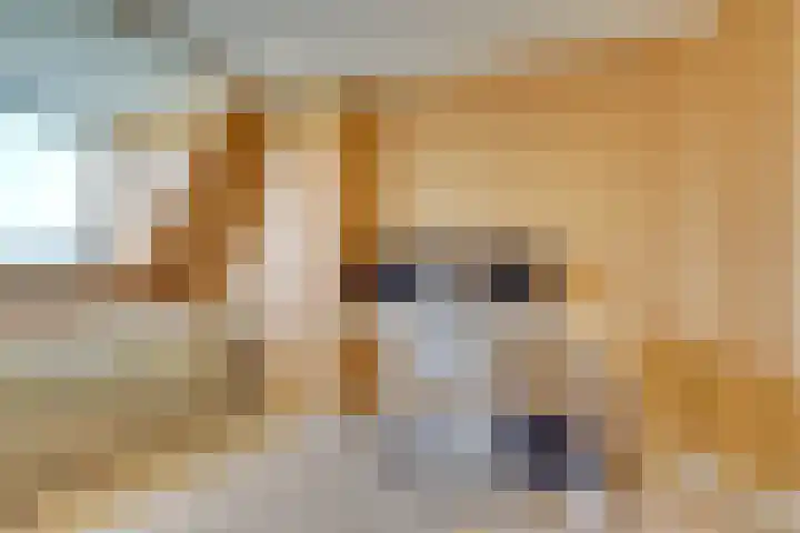 Hopakker 19 Utrecht thumbnail 49