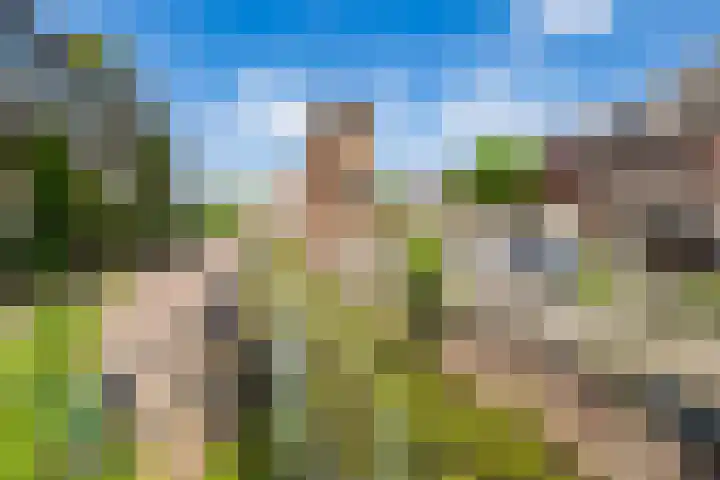 Hopakker 19 Utrecht thumbnail 56