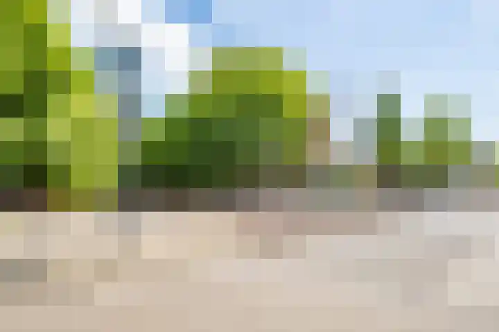 Hopakker 19 Utrecht thumbnail 57