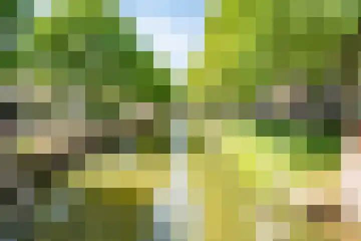 Hopakker 19 Utrecht thumbnail 58