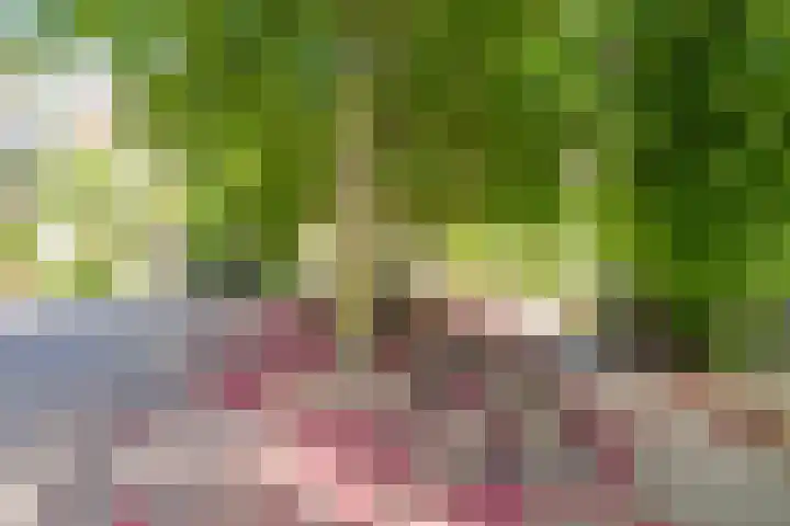 Hopakker 19 Utrecht thumbnail 59