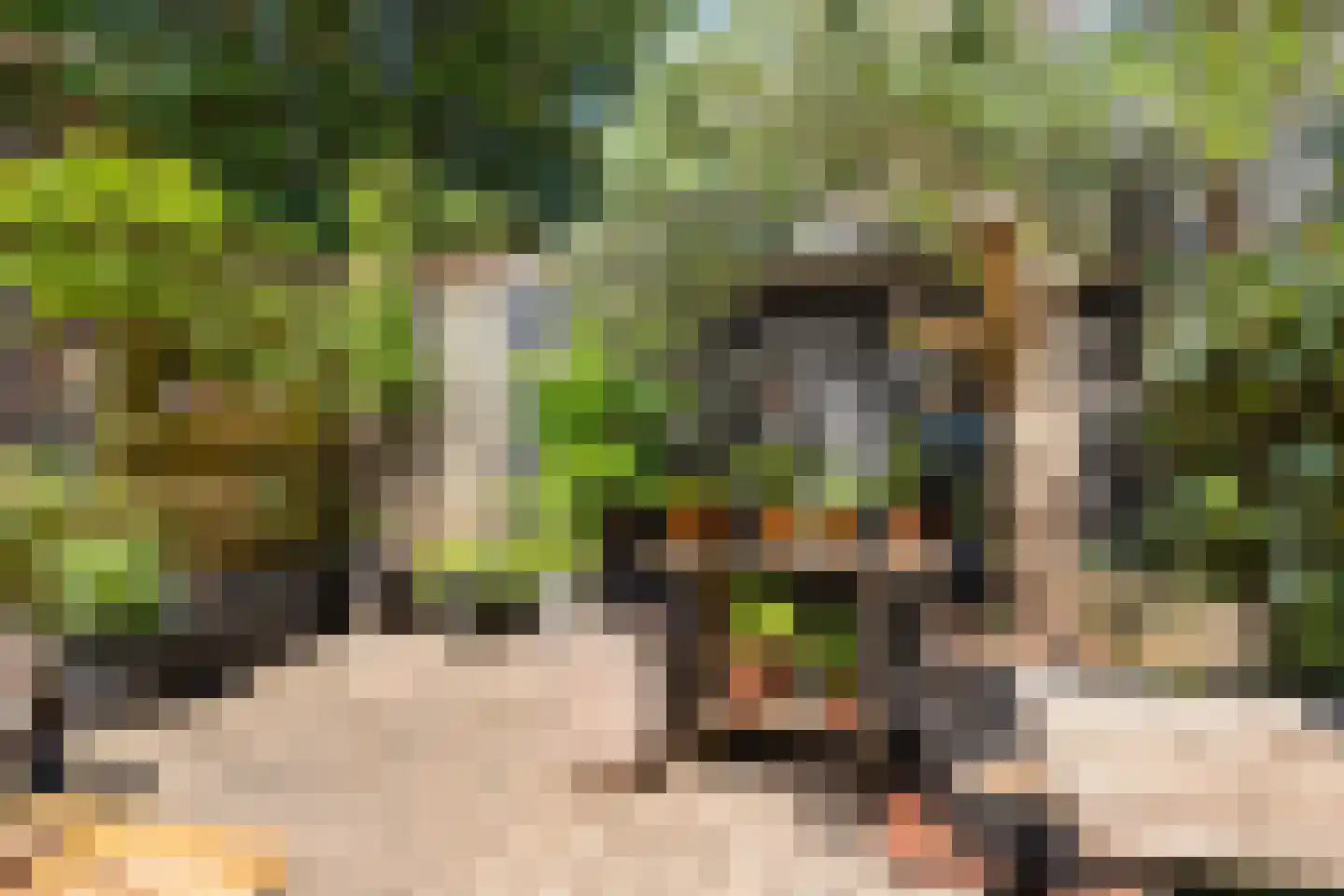 Hopakker 230 Utrecht thumbnail 32