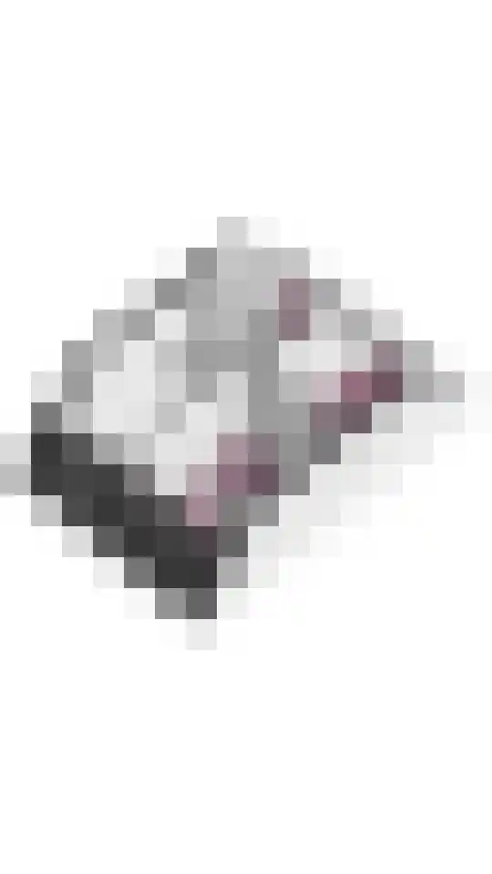 Hopakker 230 Utrecht thumbnail 44