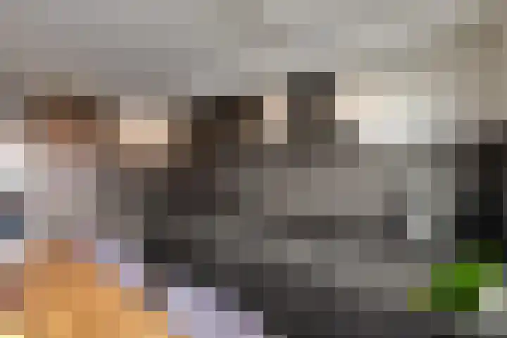 Hopakker 6 Heino thumbnail 12