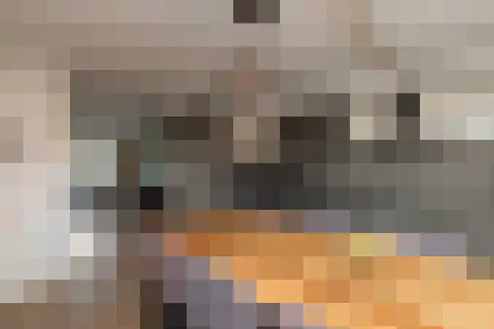 Hopakker 6 Heino thumbnail 15
