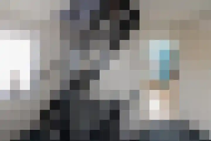 Hopakker 6 Heino thumbnail 27