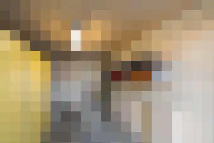 Hopakker 6 Heino thumbnail 31