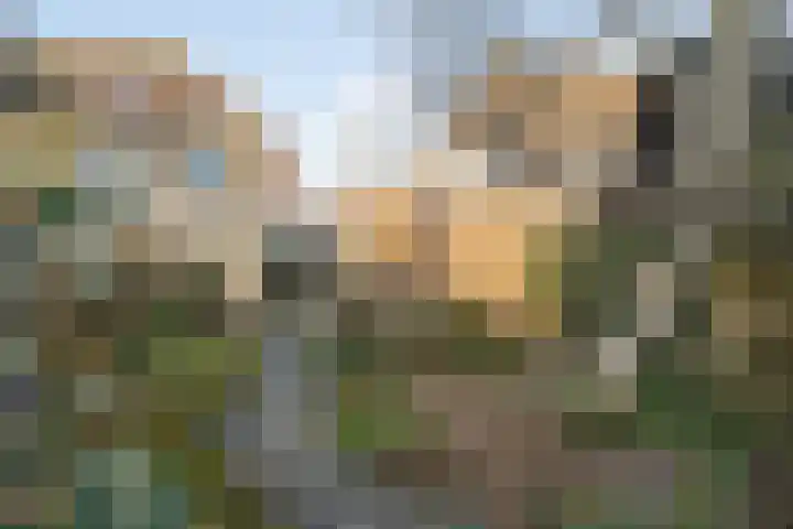 Hopakker 6 Heino thumbnail 35