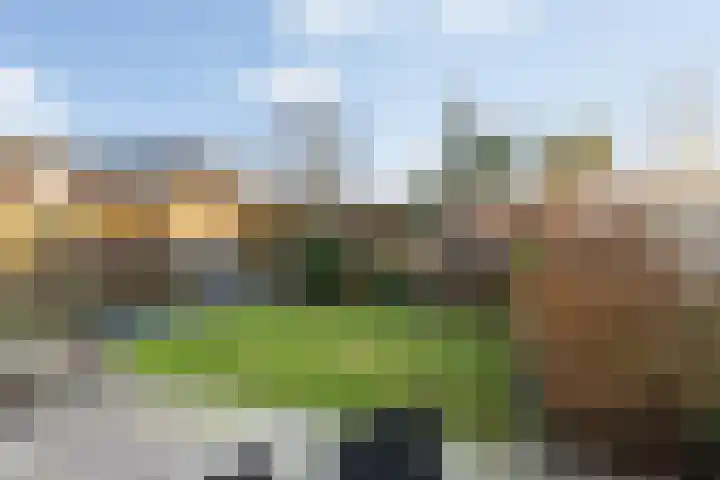 Hopakker 6 Heino thumbnail 38