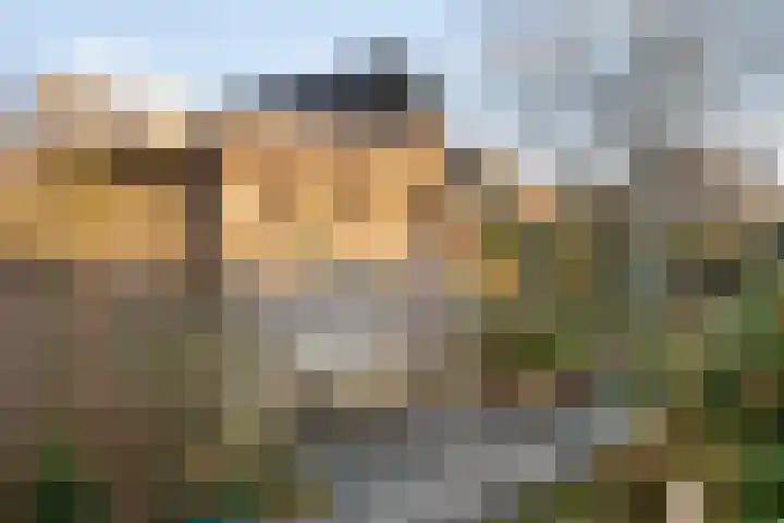 Hopakker 6 Heino thumbnail 39