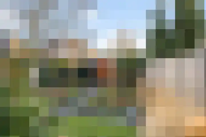 Hopakker 6 Heino thumbnail 40