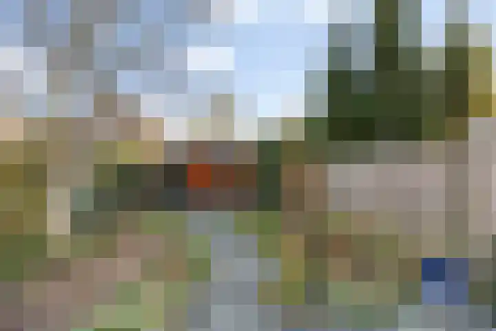Hopakker 6 Heino thumbnail 41