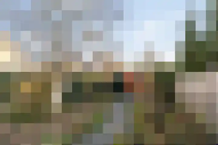 Hopakker 6 Heino thumbnail 42