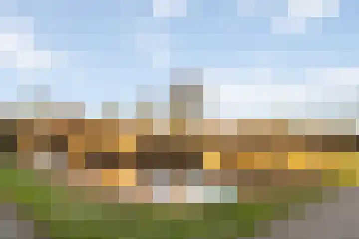 Hopakker 6 Heino thumbnail 44