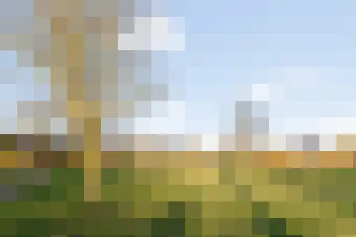Hopakker 6 Heino thumbnail 45