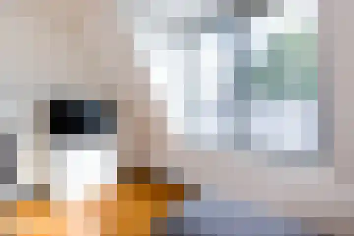 Hopakker 67 B Utrecht thumbnail 10