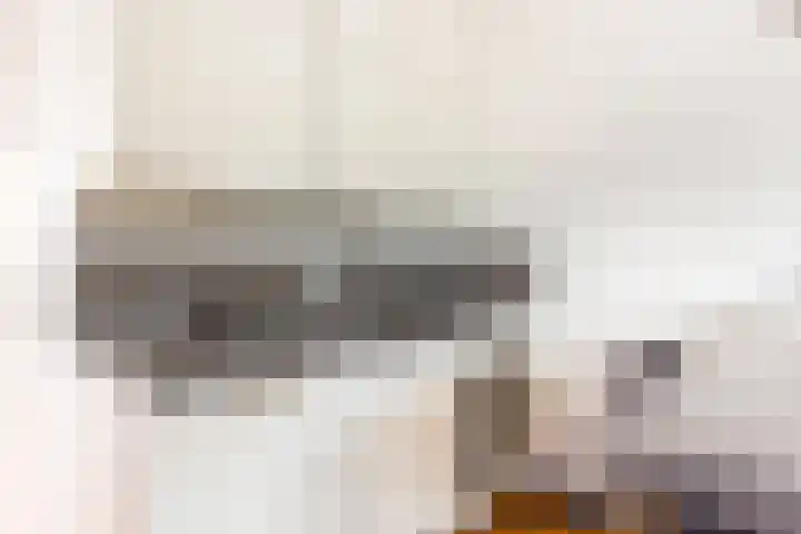 Hopakker 67 B Utrecht thumbnail 13