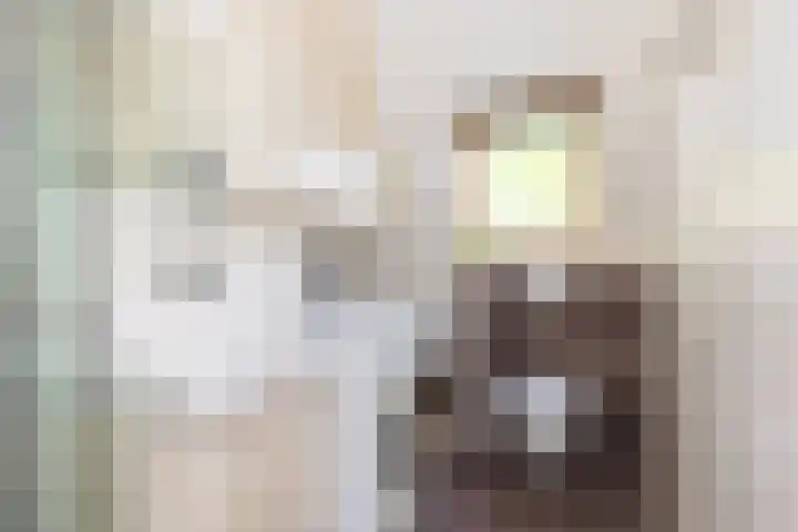 Hopakker 67 B Utrecht thumbnail 21
