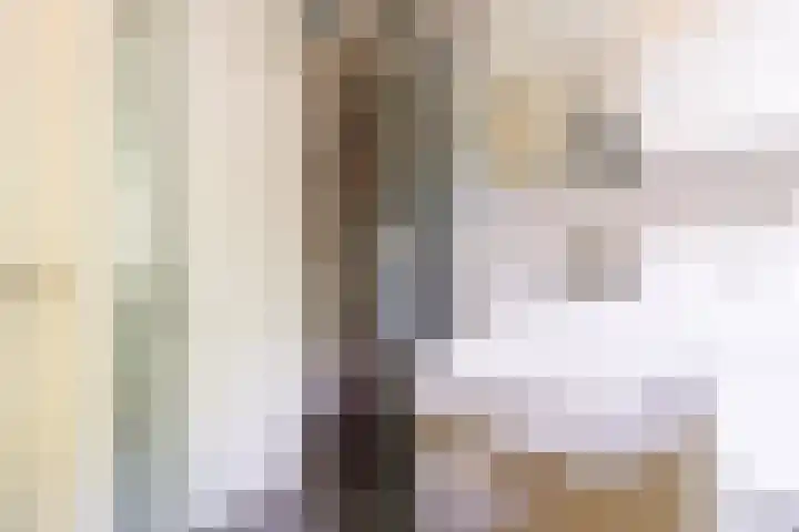 Hopakker 67 B Utrecht thumbnail 24
