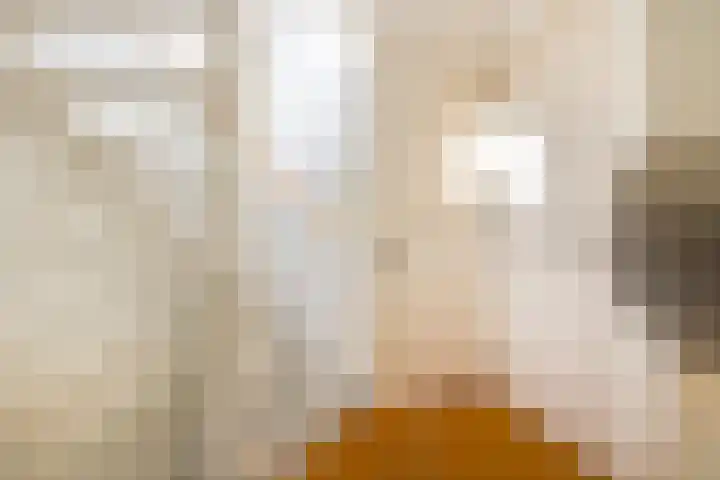 Hopakker 67 B Utrecht thumbnail 25