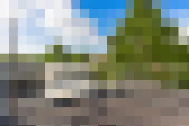 Hopakker 67 B Utrecht thumbnail 26