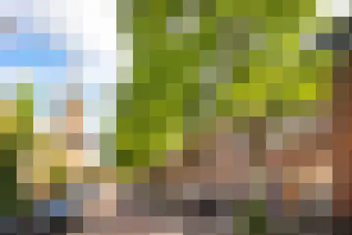 Hopakker 67 B Utrecht thumbnail 29
