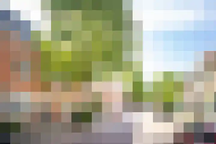 Hopakker 67 B Utrecht thumbnail 30