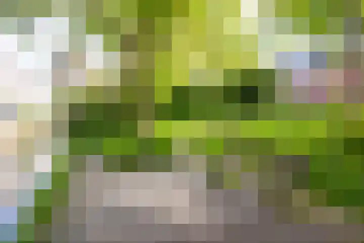 Hopakker 67 B Utrecht thumbnail 31