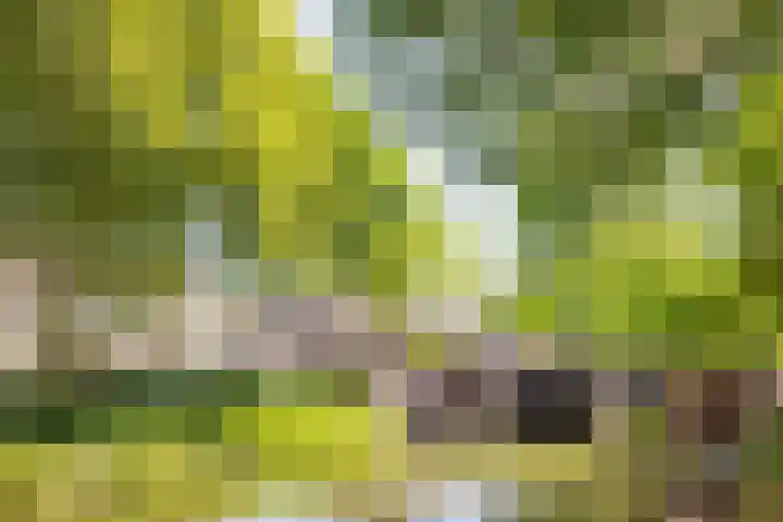 Hopakker 67 B Utrecht thumbnail 33