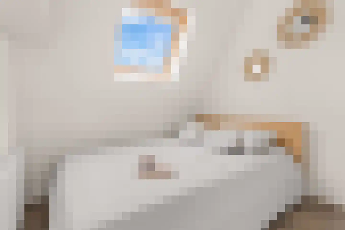 Hopakker 79 B Utrecht thumbnail 4