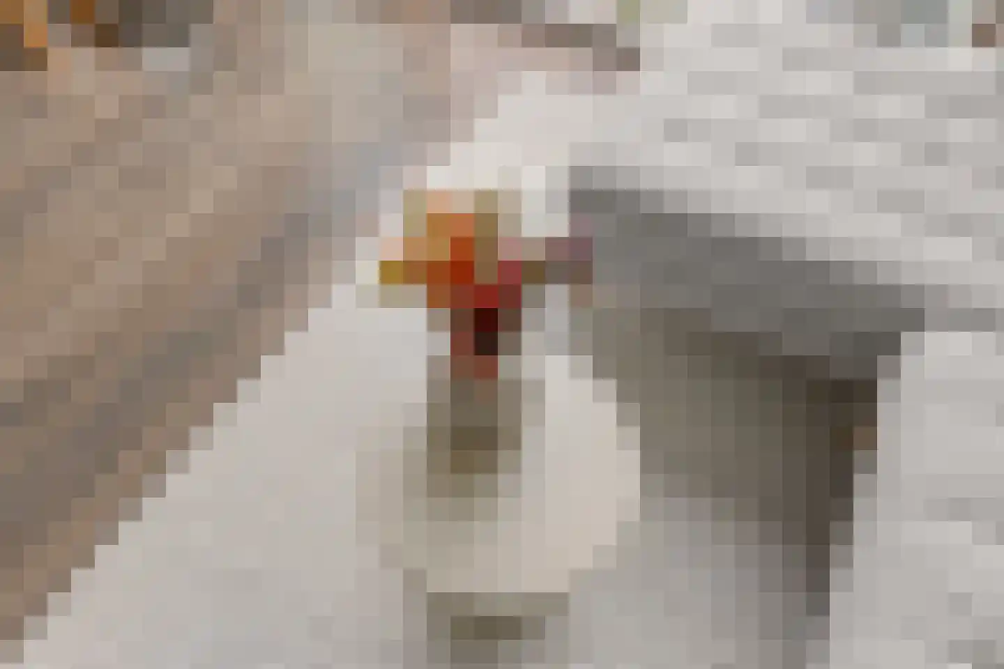 Hopakker 79 B Utrecht thumbnail 9