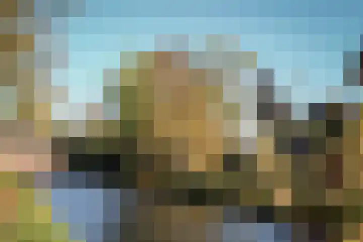 Hopbellen 12 Muiden thumbnail 10
