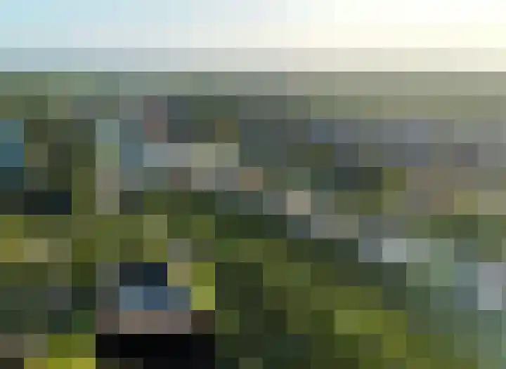 Hopbellen 12 Muiden thumbnail 11