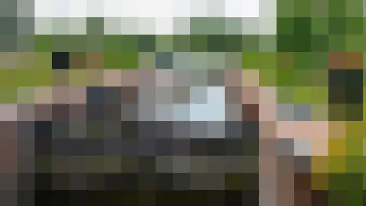 Hopbellen 12 Muiden thumbnail 13