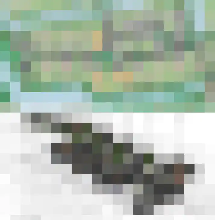Hopbellen 12 Muiden thumbnail 7