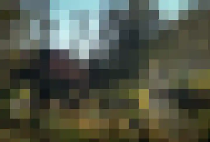 Hopbellen 12 Muiden thumbnail 9